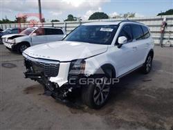 کیا تێلوراید